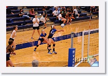 vs Hayden * (151 Slides)